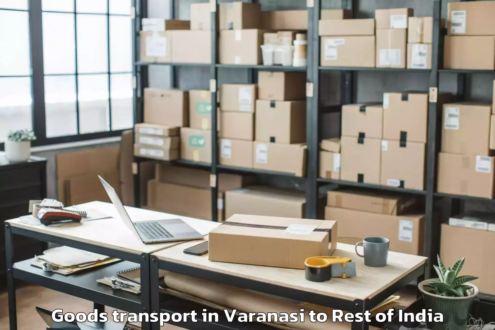 Book Varanasi to Soibugh Goods Transport